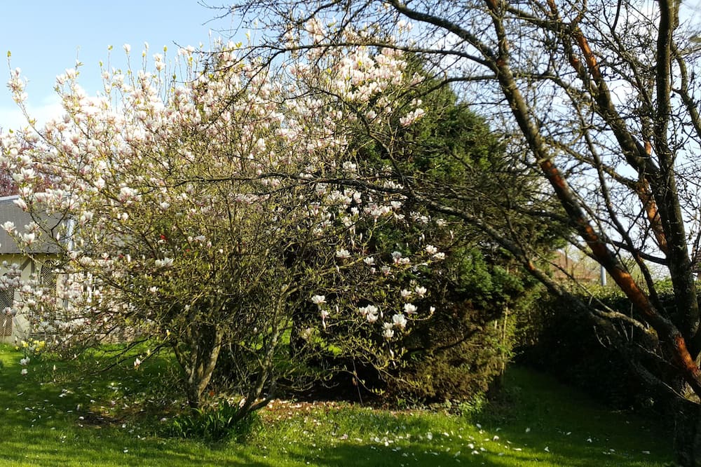 Photo of Outdoor in Grumesnil