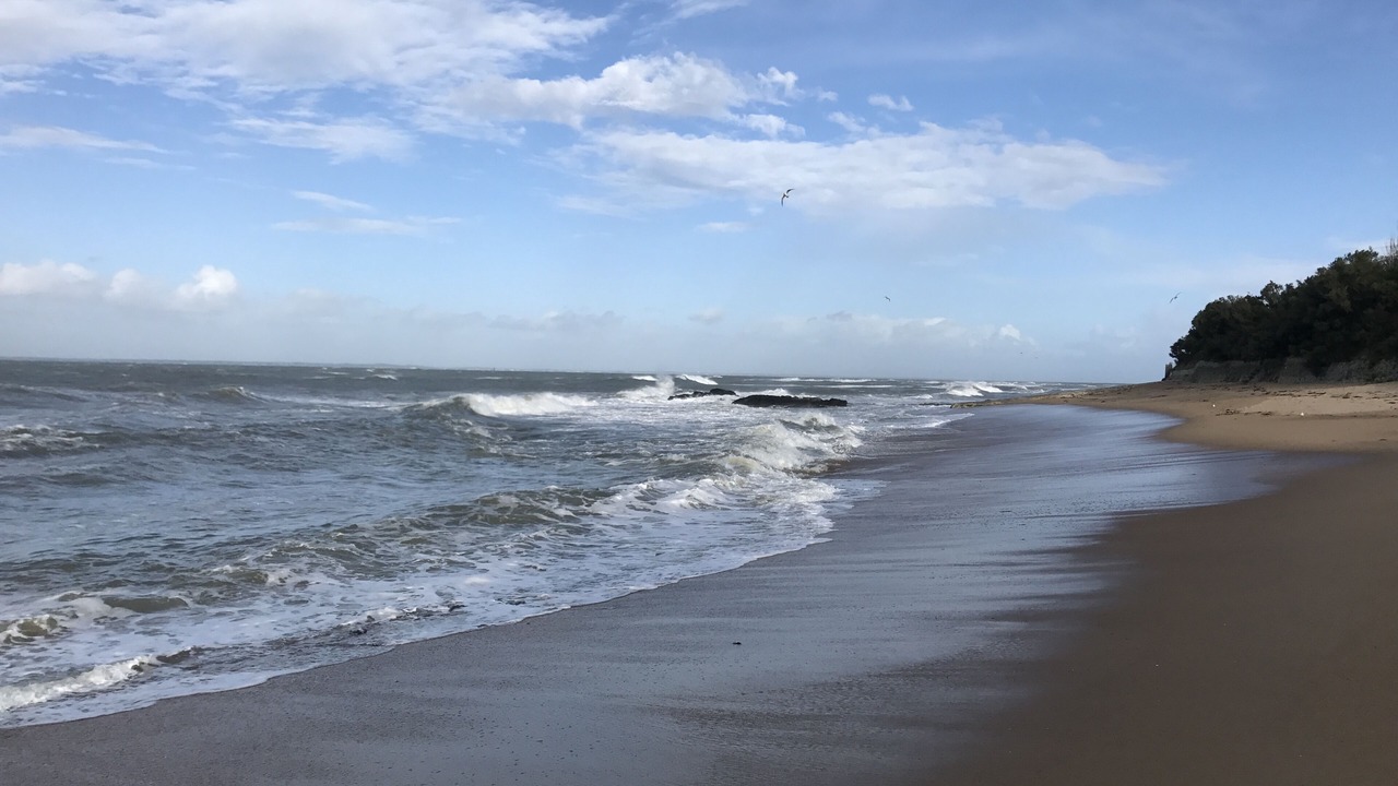 Photo of Others in Noirmoutier-en-l'Ile