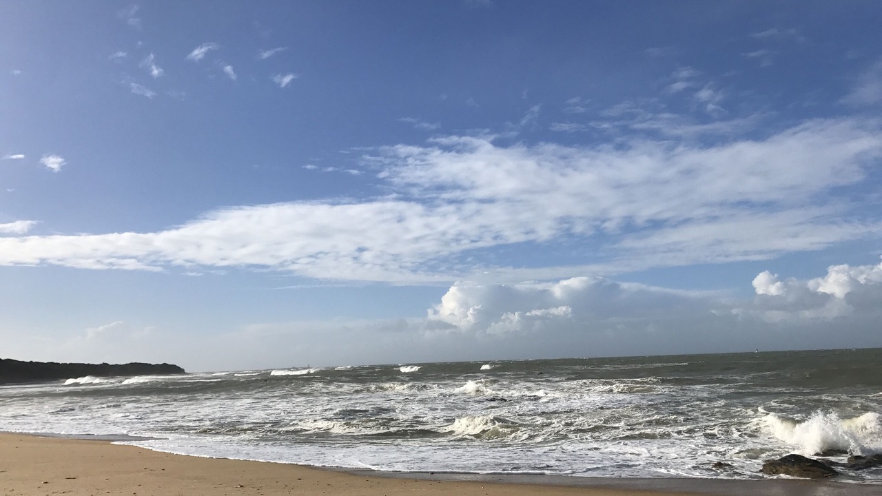 Photo of Others in Noirmoutier-en-l'Ile
