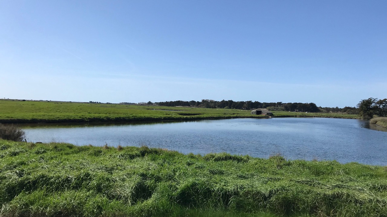 Photo of Others in Noirmoutier-en-l'Ile