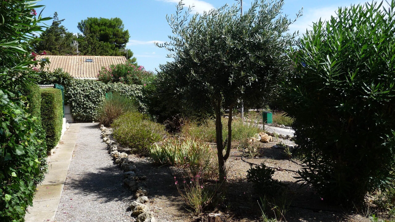Photo of Outdoor in La Franqui