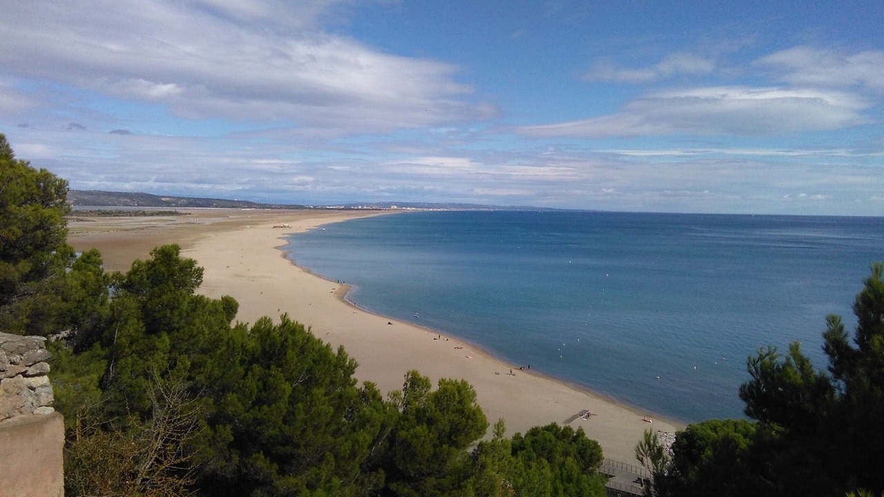 Photo of Others in La Franqui