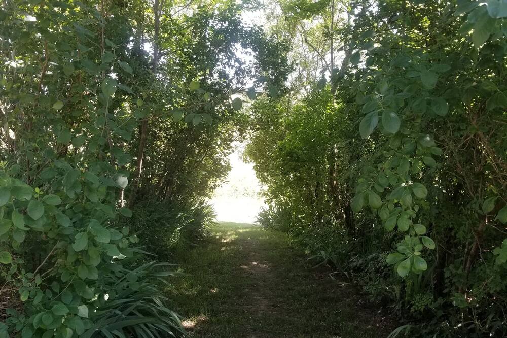 Photo of Outdoor in Saint-Puy