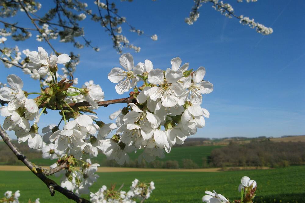 Photo of Outdoor in Saint-Puy