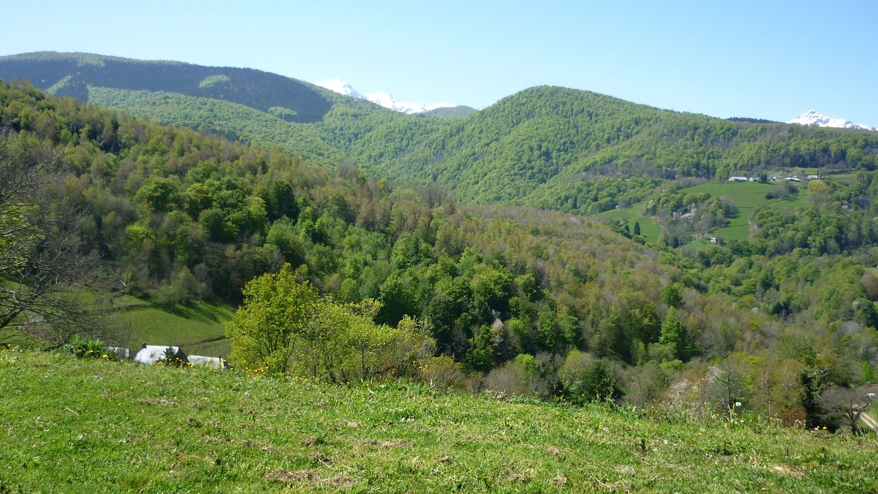 Photo of Outdoor in Lies