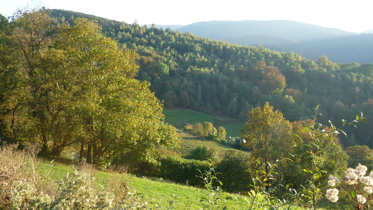 Photo of Outdoor in Lies