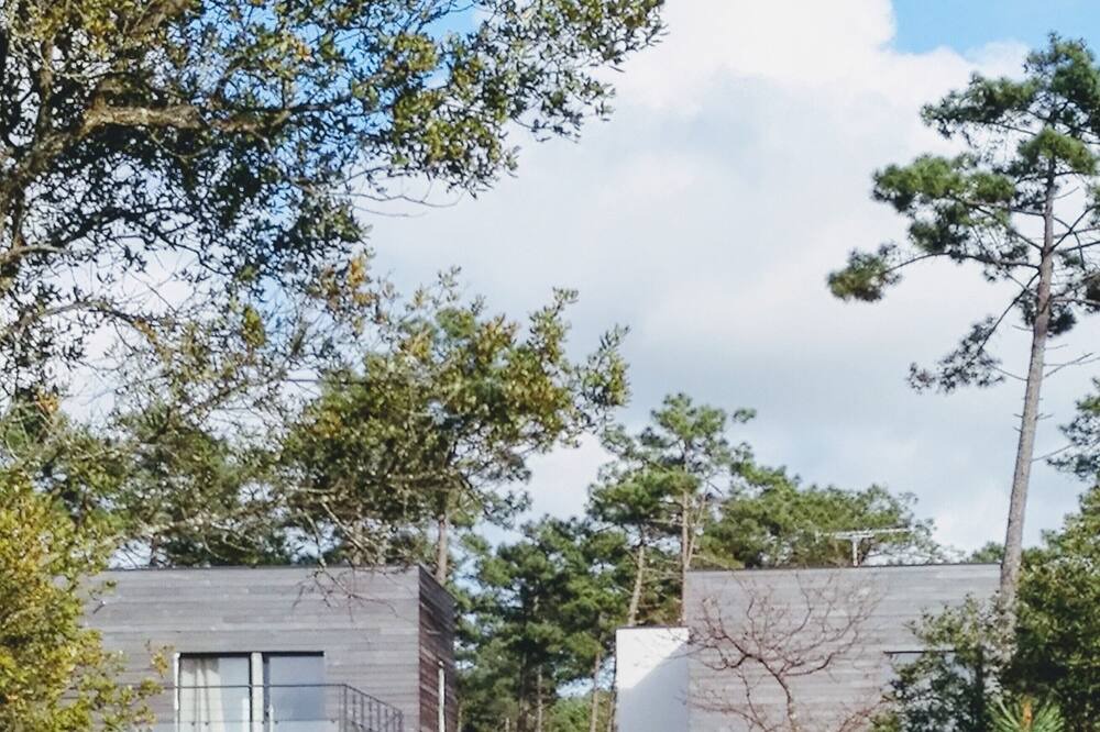 Photo of Outdoor in Lit-et-Mixe