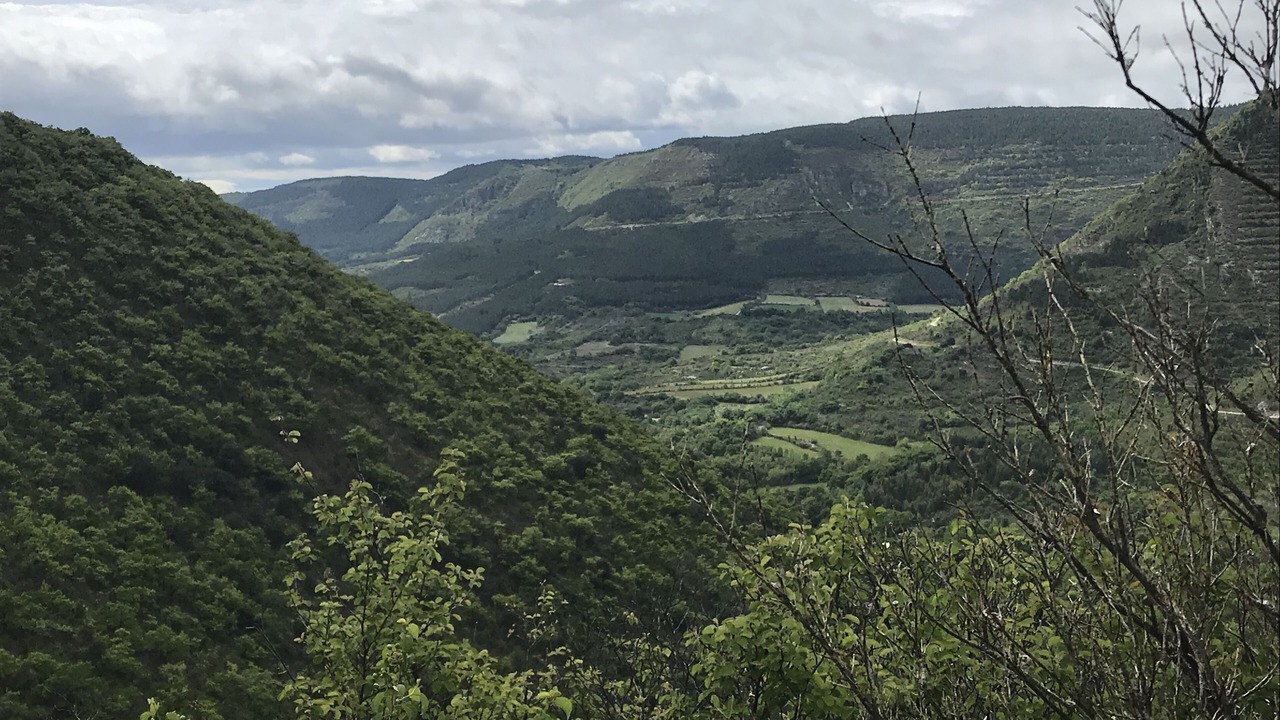 Photo of Others in Saint-Vincent-de-Barbeyrargues