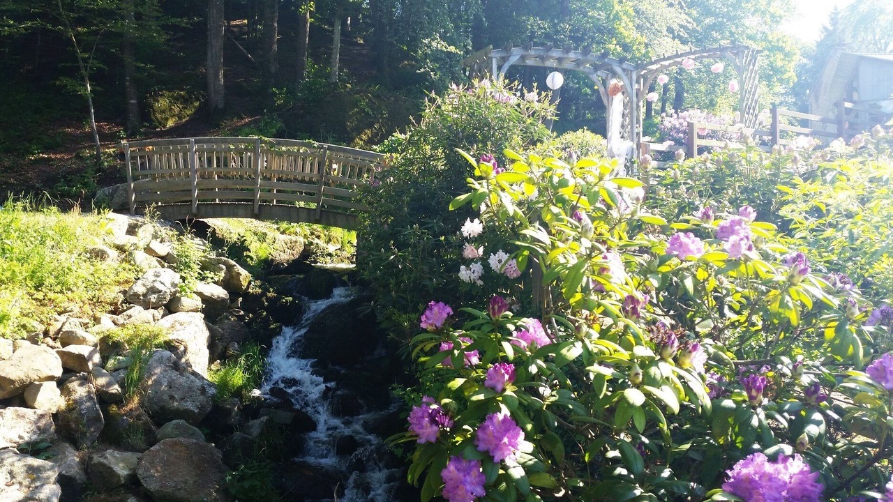 Photo of Outdoor in Monthault