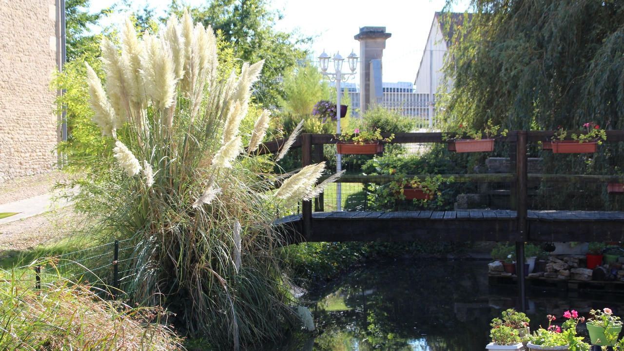Photo of Outdoor in Bernieres-sur-Mer