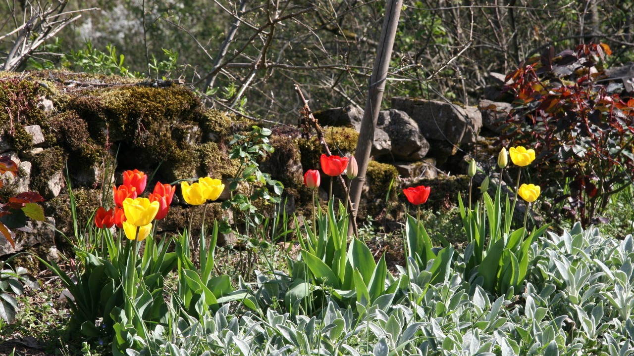 Photo of Outdoor in Penne