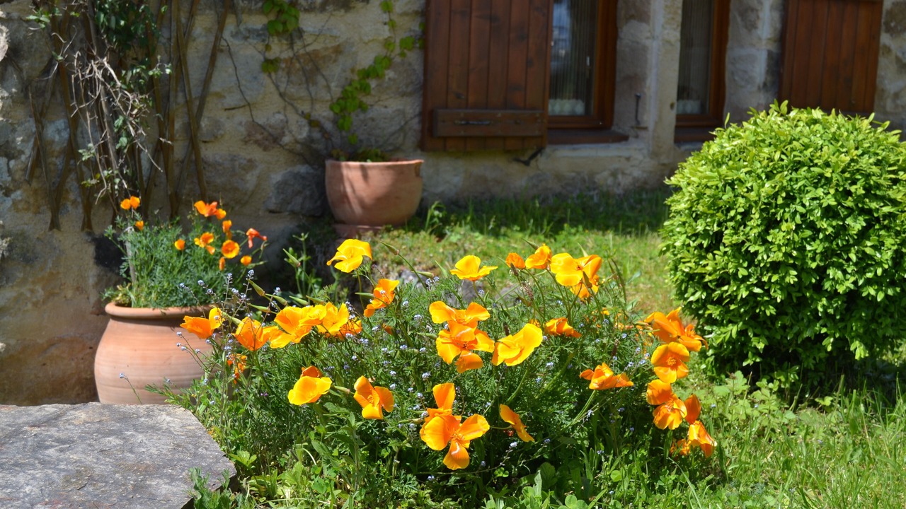 Photo of Outdoor in Penne