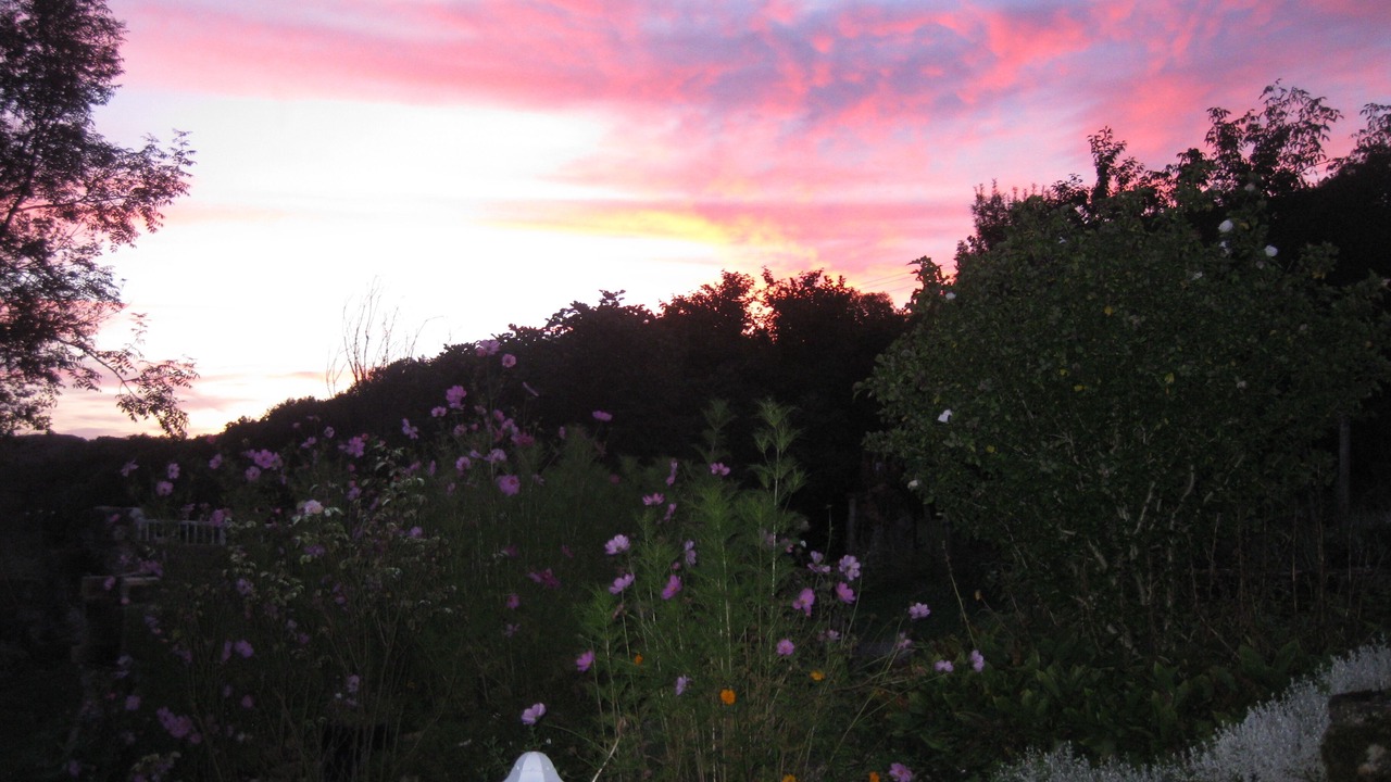Photo of Outdoor in Penne