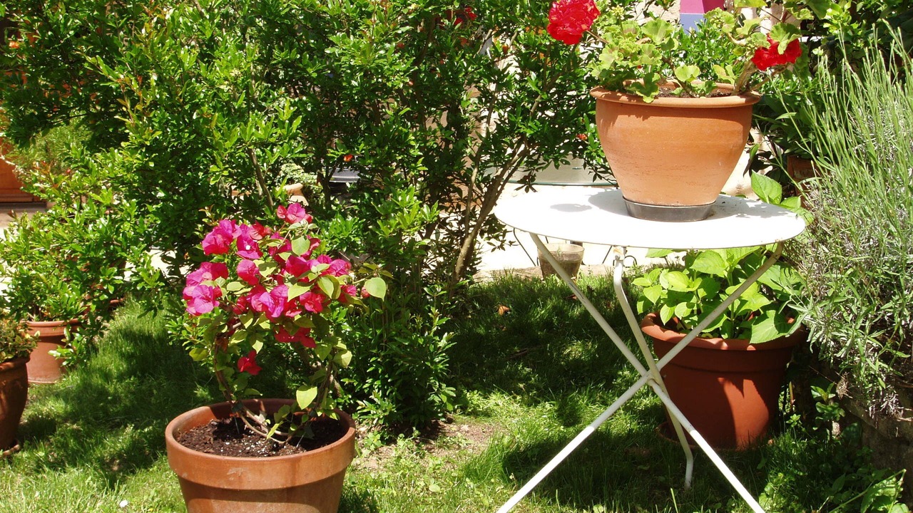 Photo of Outdoor in Penne