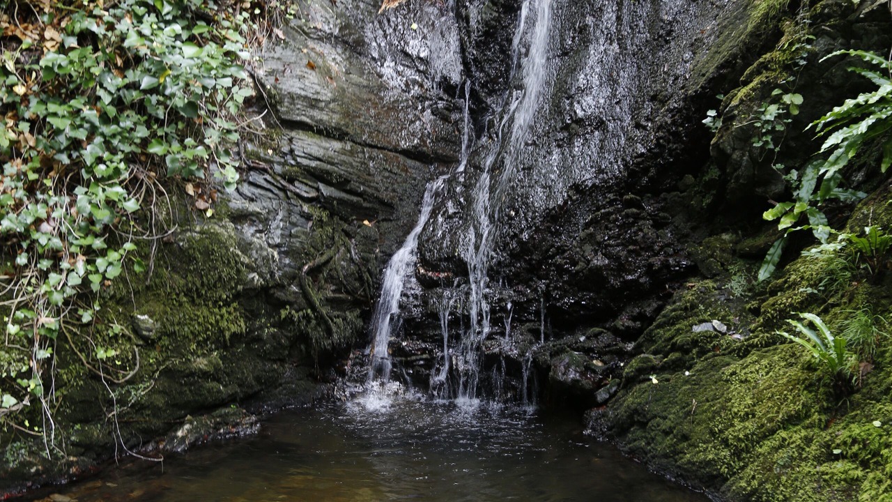 Photo of Outdoor in Saint-Etienne-d'Albagnan