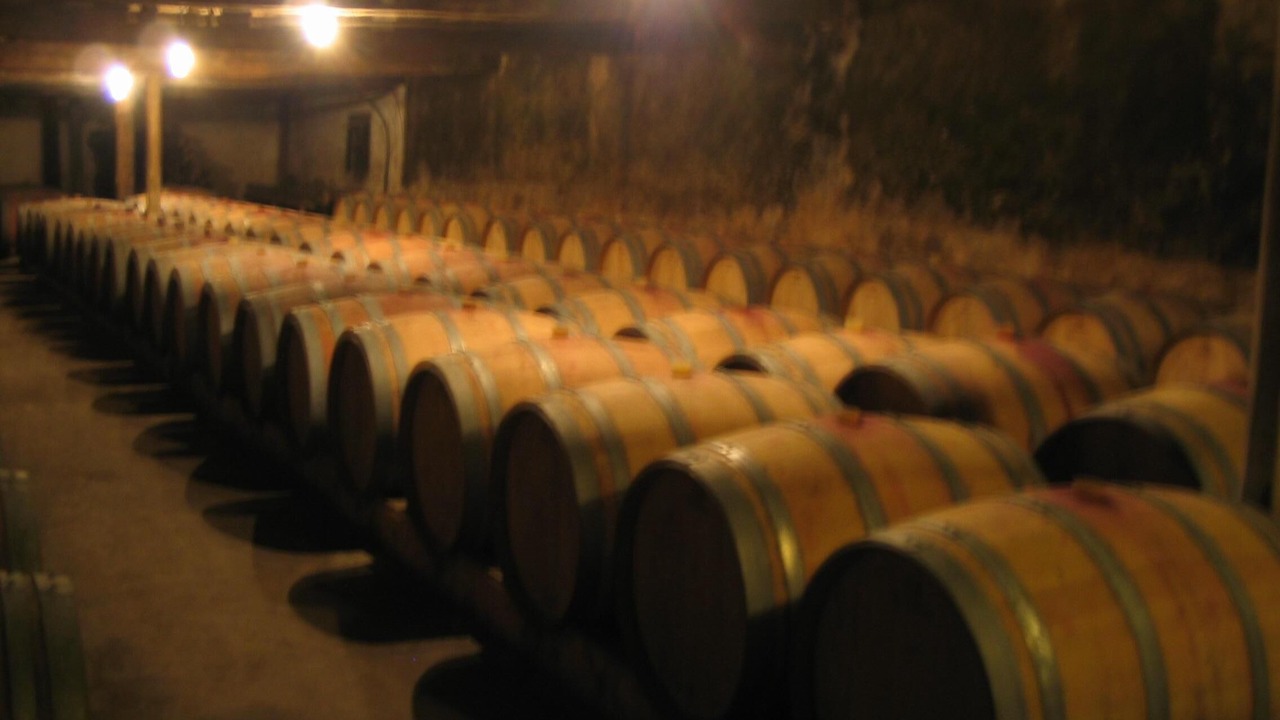 Photo of Others in Saint-Pey-de-Castets