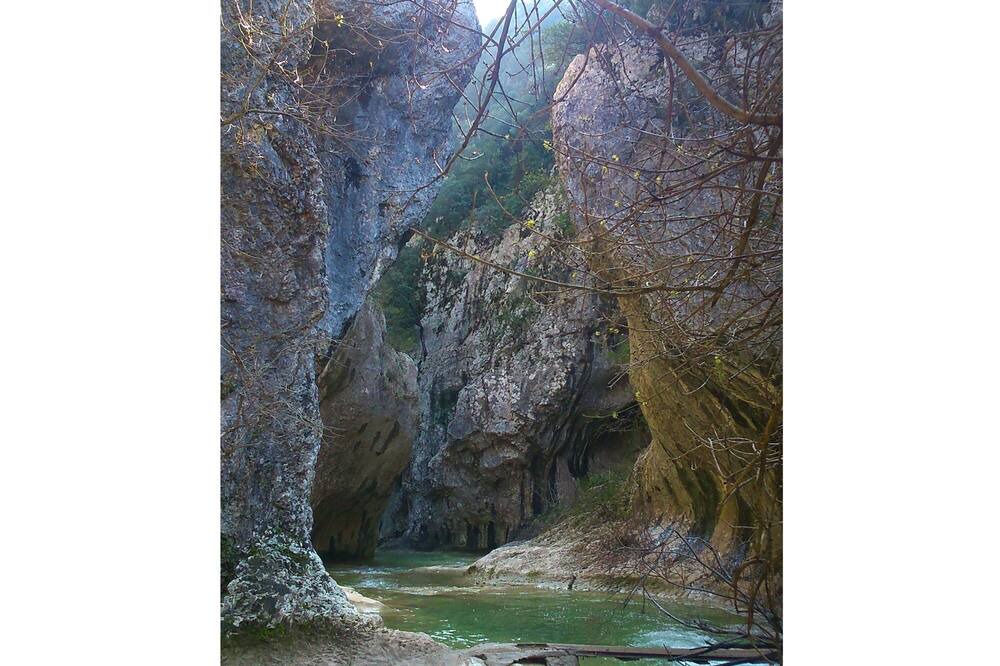 Photo of Others in Vallerargues