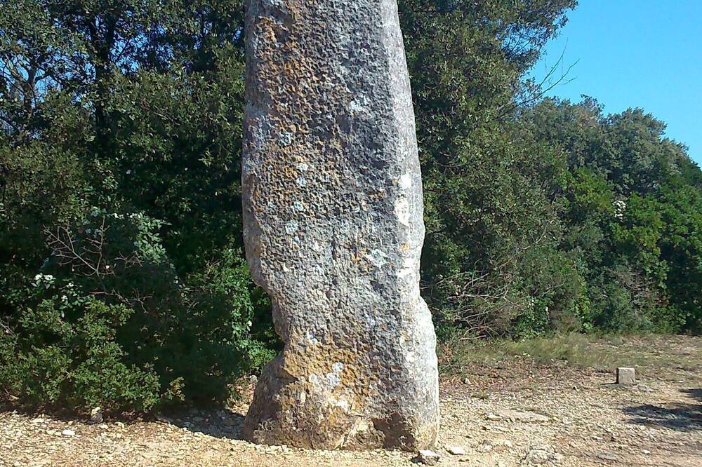 Photo of Others in Vallerargues