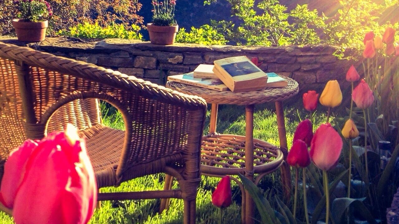 Photo of Outdoor in Vio