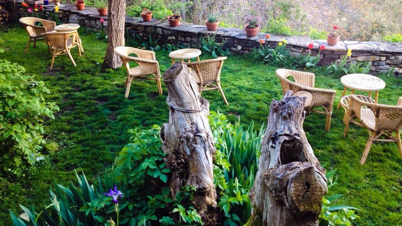 Photo of Outdoor in Vio