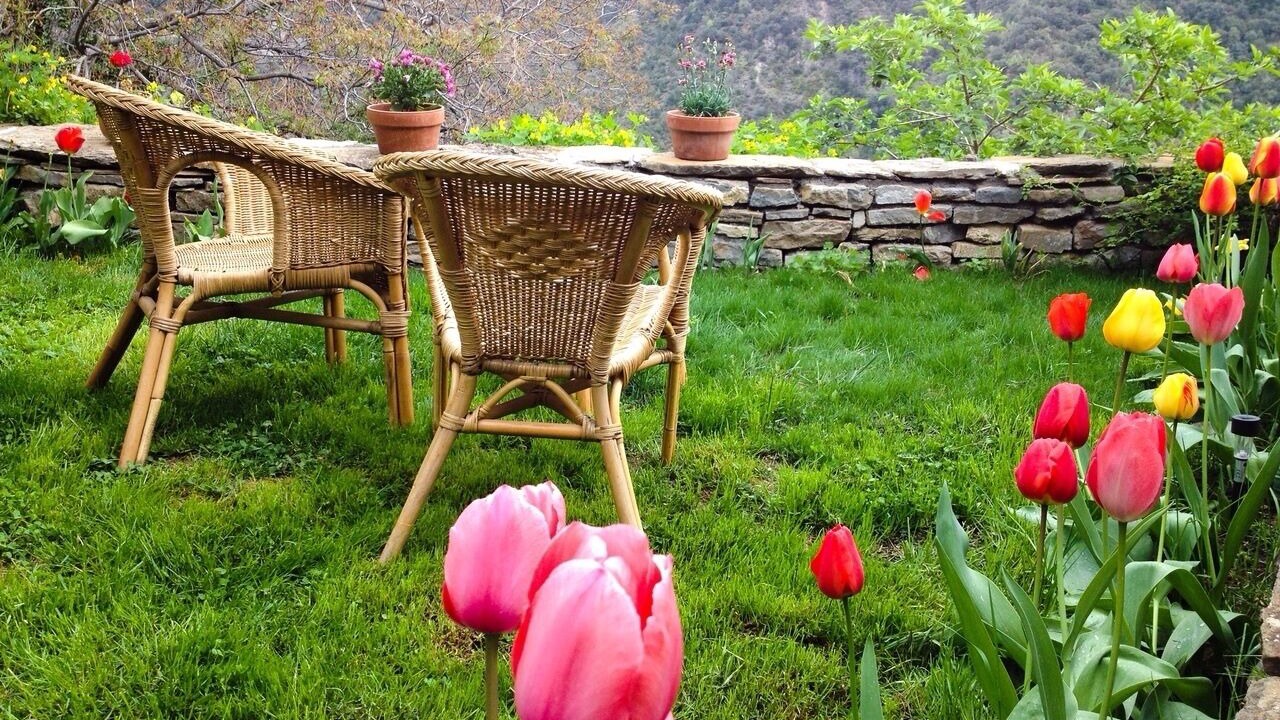 Photo of Outdoor in Vio