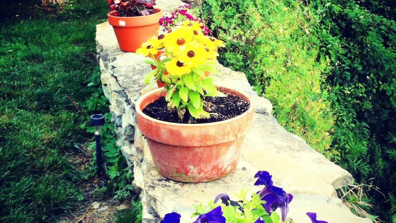 Photo of Outdoor in Vio