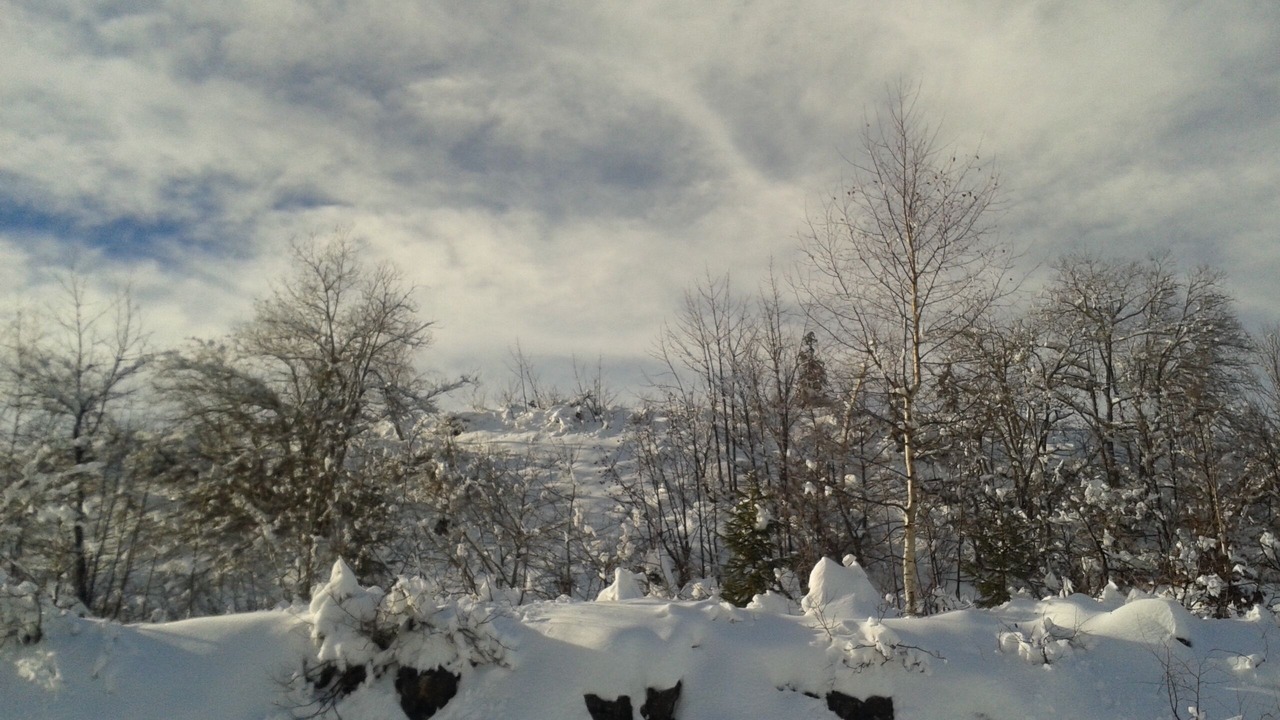 Photo of Outdoor in Aillon-le-Jerune