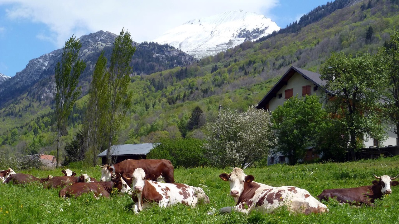 Photo of Outdoor in Aillon-le-Jerune