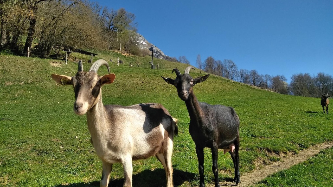 Photo of Outdoor in Aillon-le-Jerune