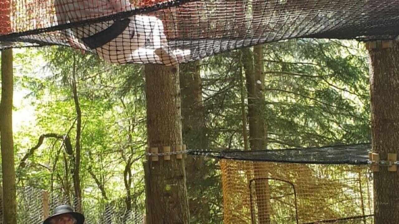 Photo of Outdoor in Aillon-le-Jerune
