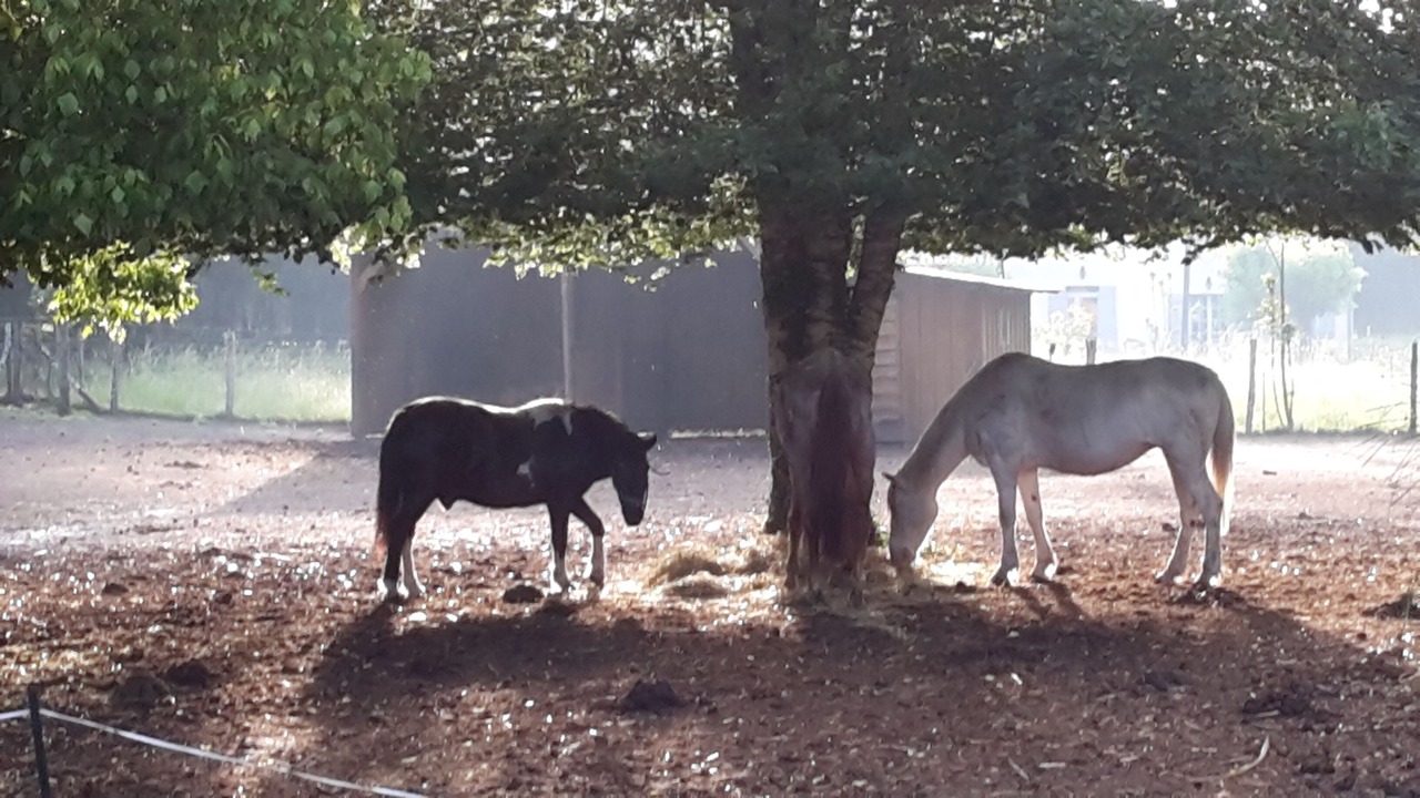 Photo of Outdoor in Cazalis