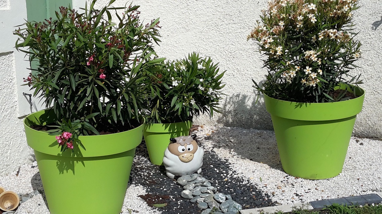 Photo of Outdoor in Cazalis