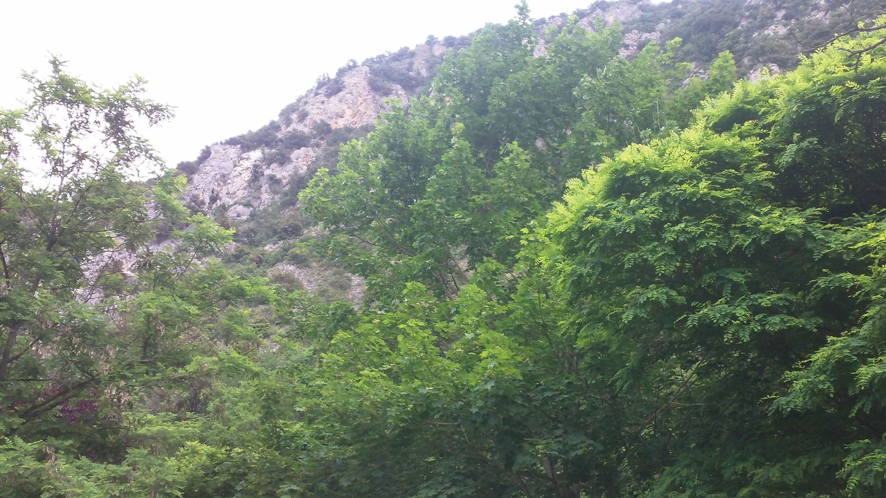 Photo of Outdoor in Corneilla-de-Conflent