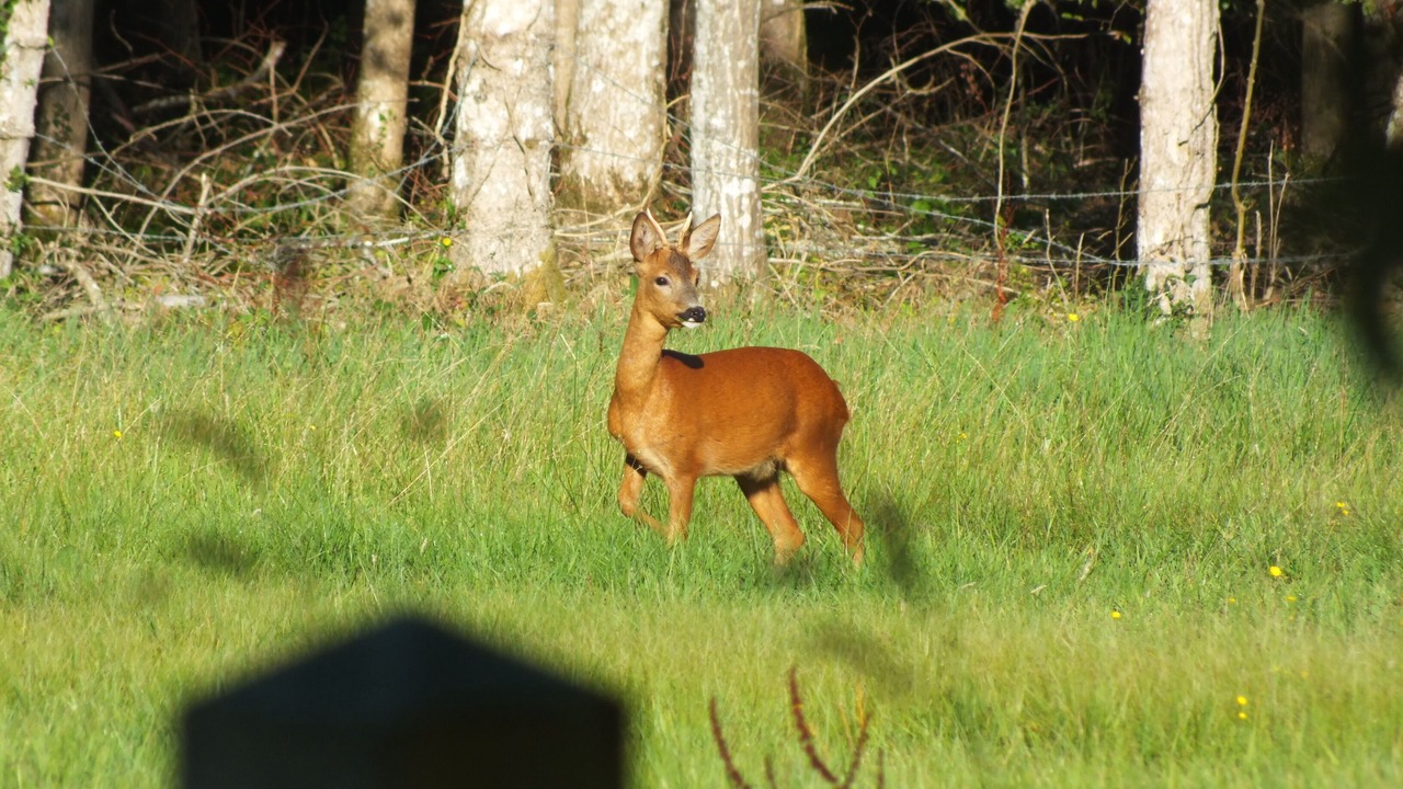 Photo of Outdoor in L'Home-Chamondot