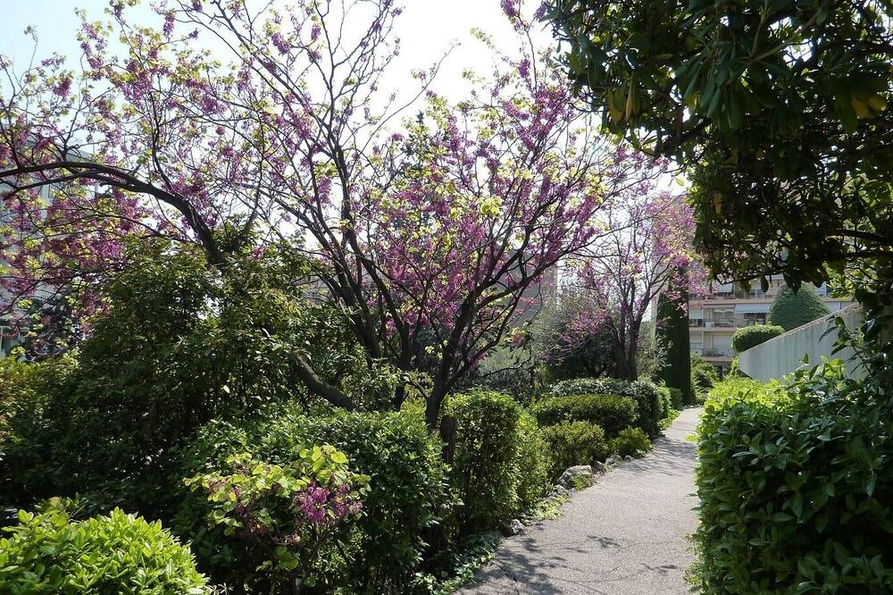 Photo of Outdoor in Fabron