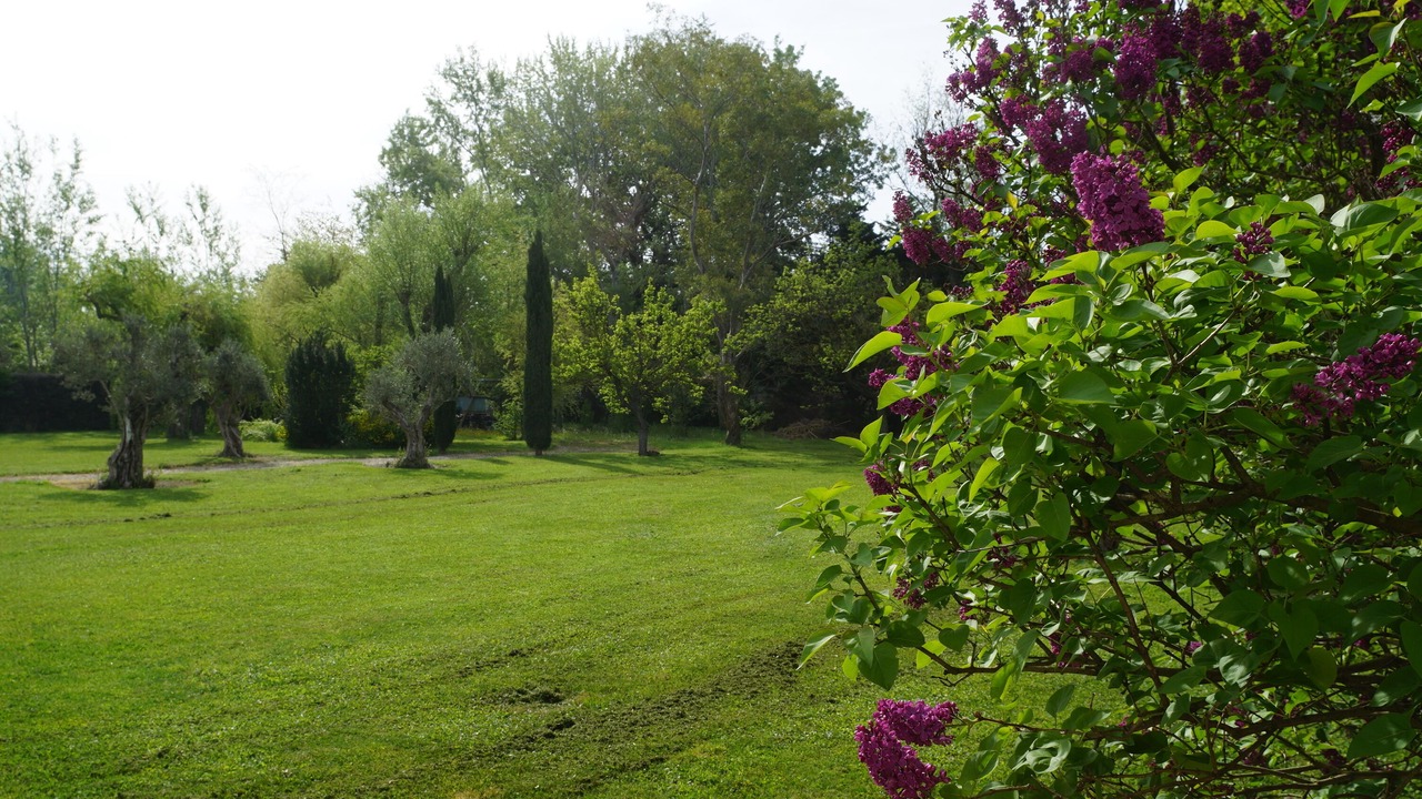 Photo of Outdoor in Vedene