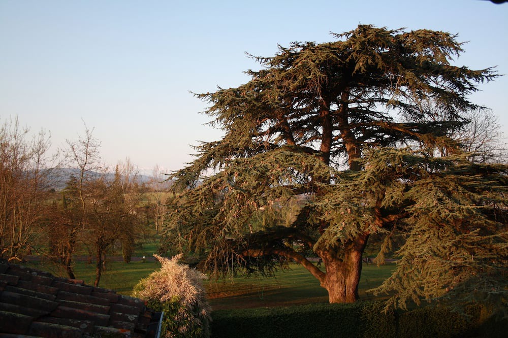 Photo of Outdoor in Castex