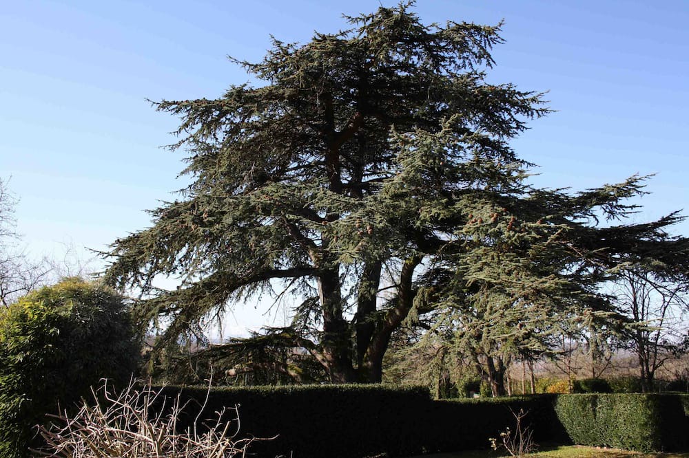 Photo of Outdoor in Castex