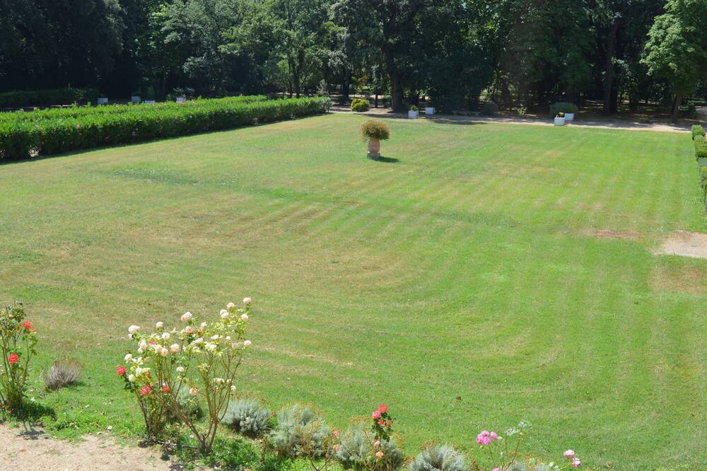 Photo of Outdoor in Montpellier