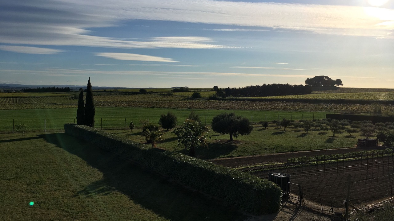 Photo of Others in Capestang