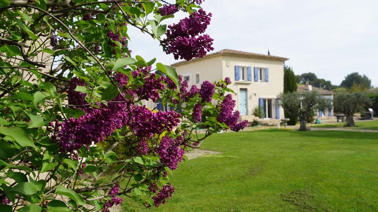 Photo of Outdoor in Vedene