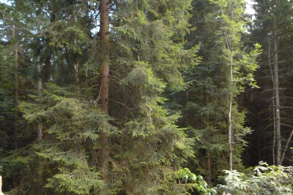 Photo of Outdoor in Saint-Bonnet-le-Froid