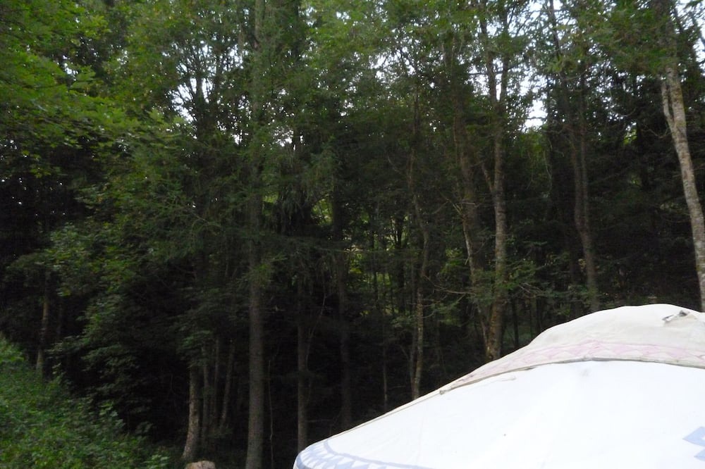 Photo of Others in Saint-Bonnet-le-Froid