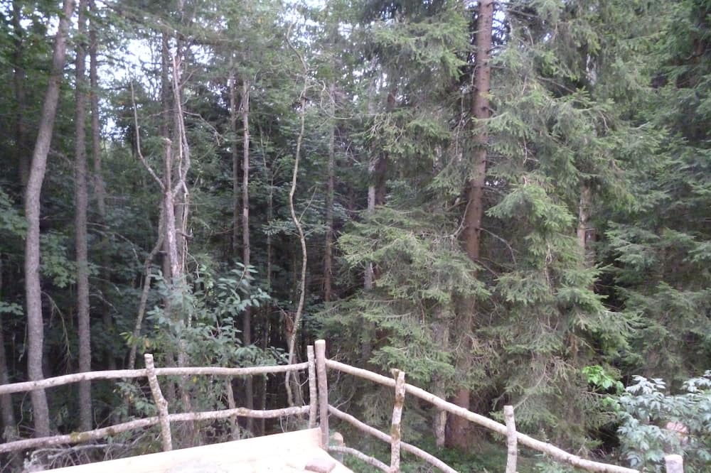 Photo of Others in Saint-Bonnet-le-Froid