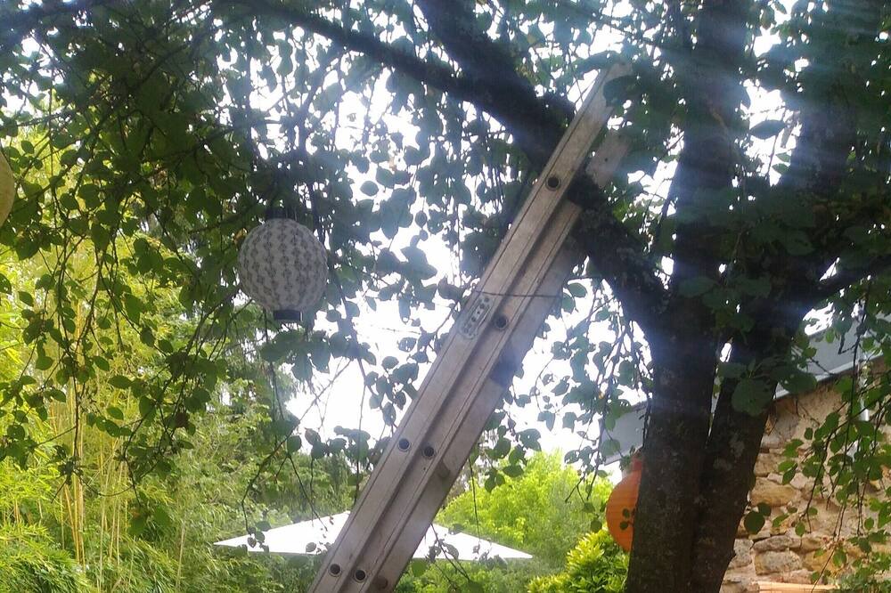 Photo of Outdoor in Chaligny