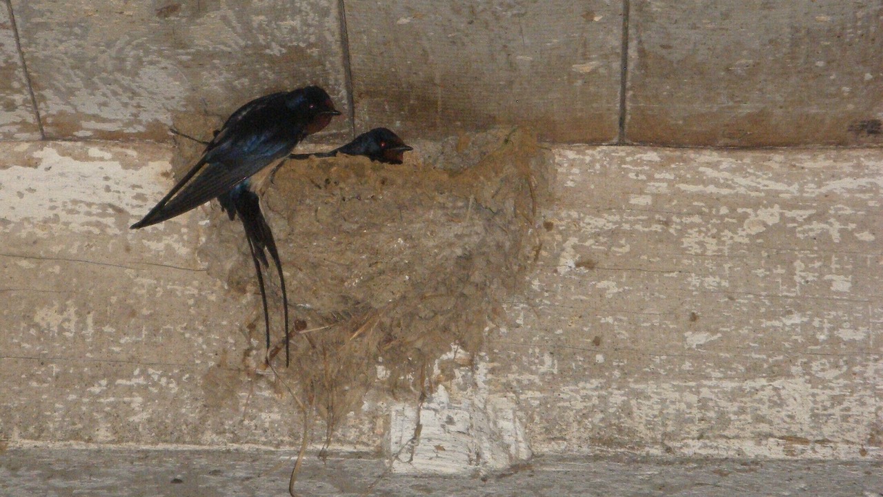 Photo of Others in Grand-Failly