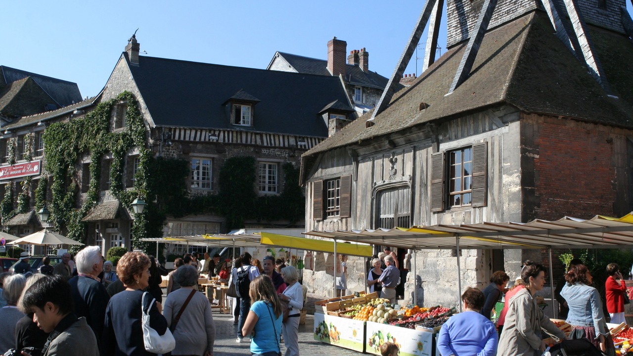 Photo of Outdoor in Enclos