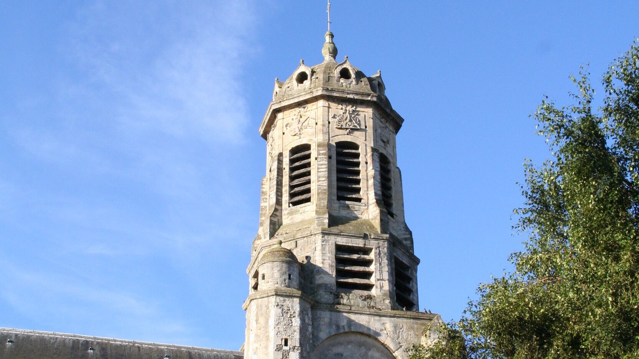 Photo of Outdoor in Enclos