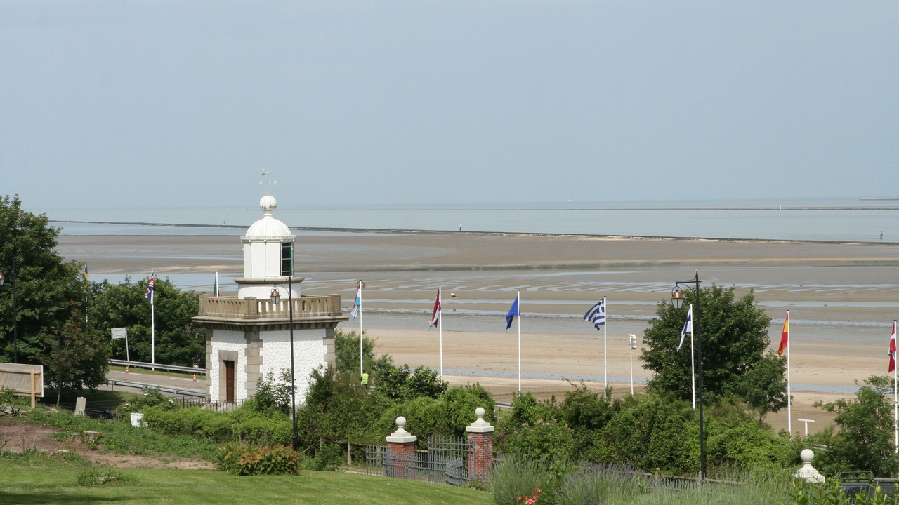 Photo of Others in Enclos