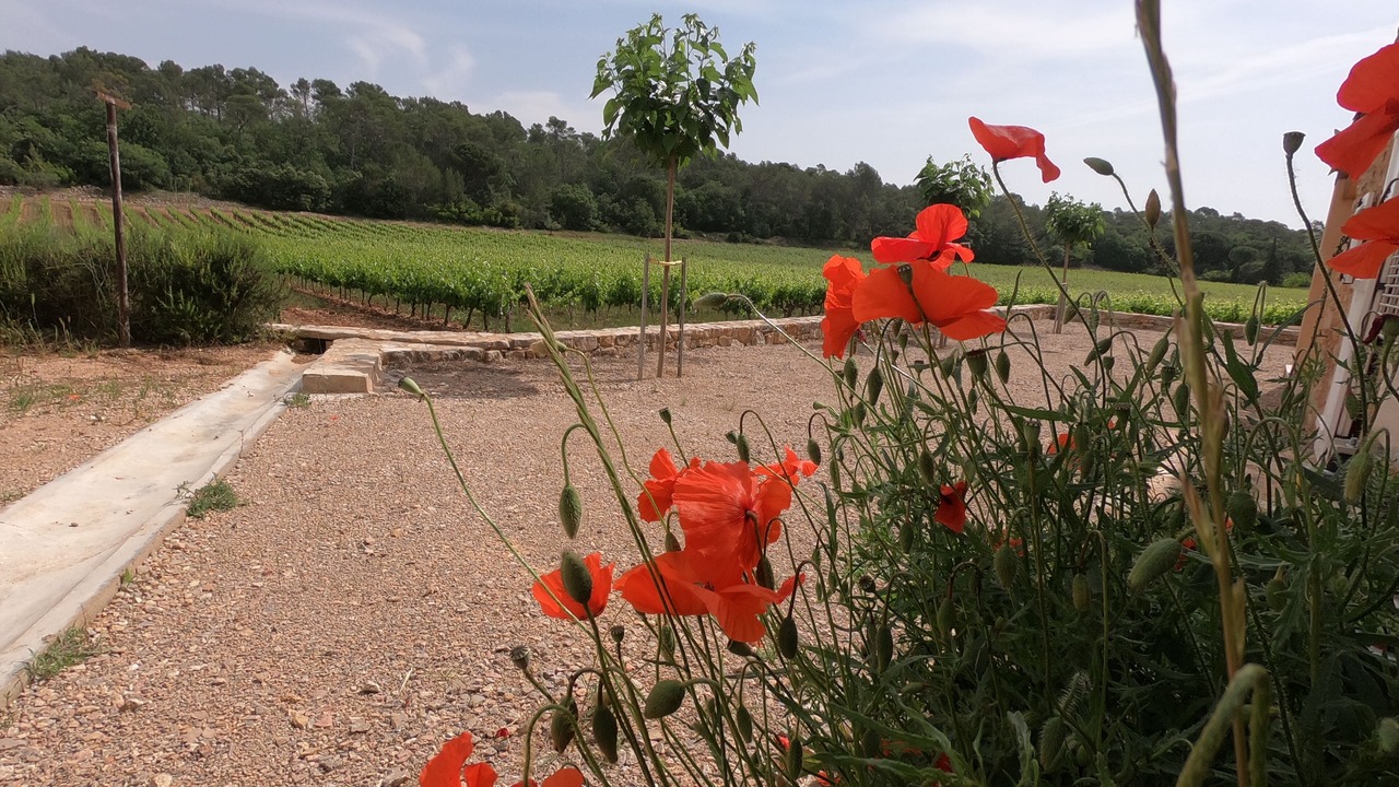 Photo of Outdoor in Le Cannet-des-Maures